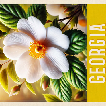 State Flowers Series: Georgia, Cherokee Rose 1000 Jigsaw Puzzle 3D Modell