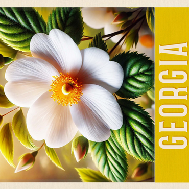 State Flowers Series: Georgia, Cherokee Rose 500 Jigsaw Puzzle 3D Modell