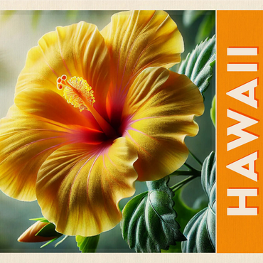 State Flowers Series: Hawaii, Yellow Hibiscus 1000 Jigsaw Puzzle 3D Modell