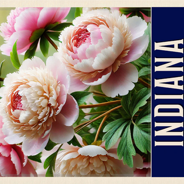 State Flowers Series: Indiana, Peony 1000 Jigsaw Puzzle 3D Modell