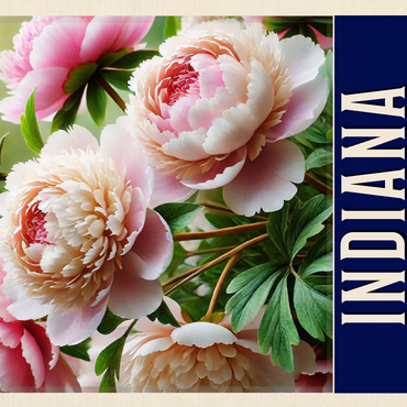 State Flowers Series: Indiana, Peony 500 Jigsaw Puzzle 3D Modell