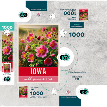 State Flowers Series: Iowa, Wild Prairie Rose 1000 Jigsaw Puzzle box 3D Modell