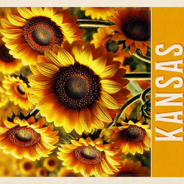 State Flowers Series: Kansas, Sunflower 1000 Jigsaw Puzzle 3D Modell