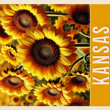 State Flowers Series: Kansas, Sunflower 500 Jigsaw Puzzle 3D Modell