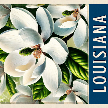 State Flowers Series: Louisiana, Magnolia 1000 Jigsaw Puzzle 3D Modell