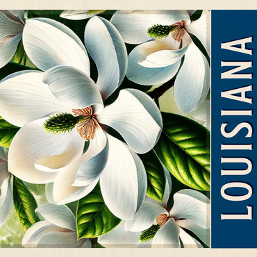 State Flowers Series: Louisiana, Magnolia 500 Jigsaw Puzzle 3D Modell