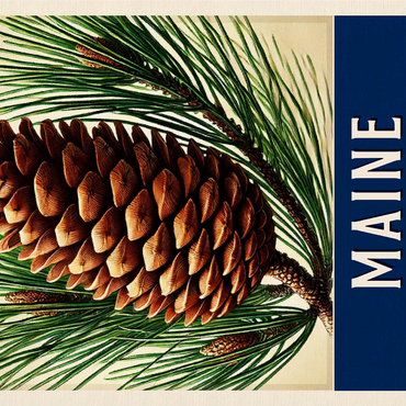 State Flowers Series: Maine, Pine Cone & Tassel 1000 Jigsaw Puzzle 3D Modell
