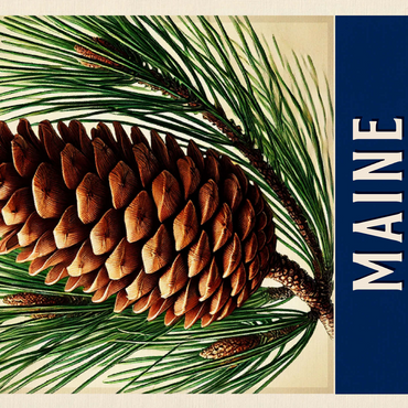 State Flowers Series: Maine, Pine Cone & Tassel 500 Jigsaw Puzzle 3D Modell