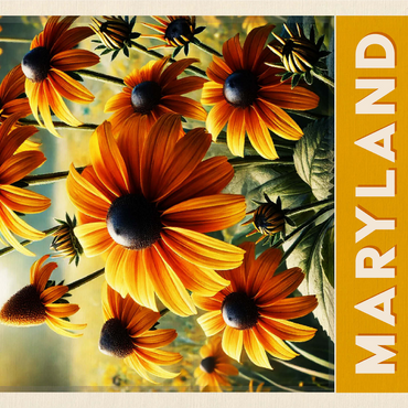 State Flowers Series: Maryland, Black Eyed Susan 1000 Jigsaw Puzzle 3D Modell