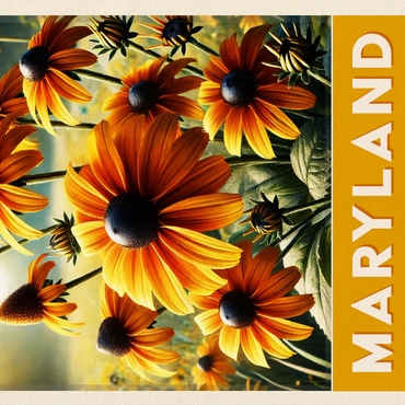 State Flowers Series: Maryland, Black Eyed Susan 500 Jigsaw Puzzle 3D Modell