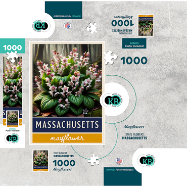 State Flowers Series: Massachusetts, Mayflower 1000 Jigsaw Puzzle box 3D Modell
