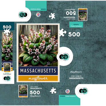 State Flowers Series: Massachusetts, Mayflower 500 Jigsaw Puzzle box 3D Modell
