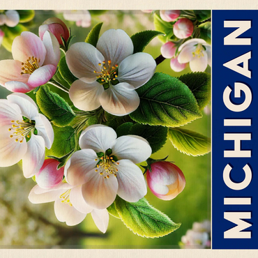 State Flowers Series: Michigan, Apple Blossom 500 Jigsaw Puzzle 3D Modell