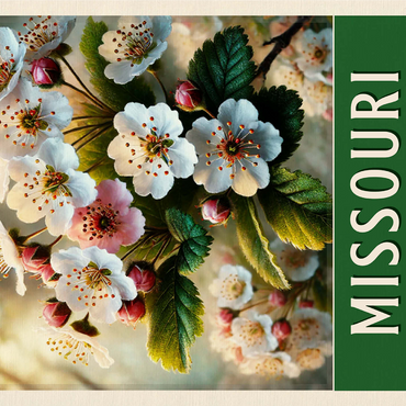 State Flowers Series: Missouri, Hawthorn Blossom, green 1000 Jigsaw Puzzle 3D Modell