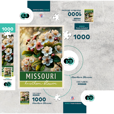 State Flowers Series: Missouri, Hawthorn Blossom, green 1000 Jigsaw Puzzle box 3D Modell
