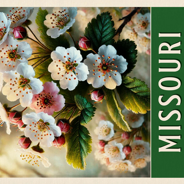 State Flowers Series: Missouri, Hawthorn Blossom, green 500 Jigsaw Puzzle 3D Modell