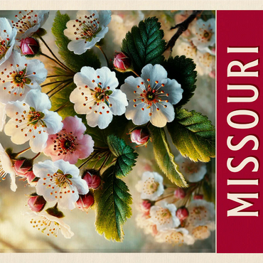 State Flowers Series: Missouri, Hawthorn Blossom 1000 Jigsaw Puzzle 3D Modell