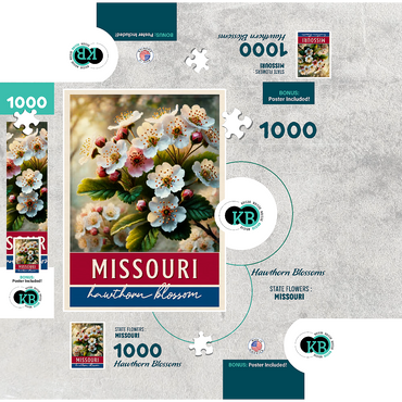 State Flowers Series: Missouri, Hawthorn Blossom 1000 Jigsaw Puzzle box 3D Modell