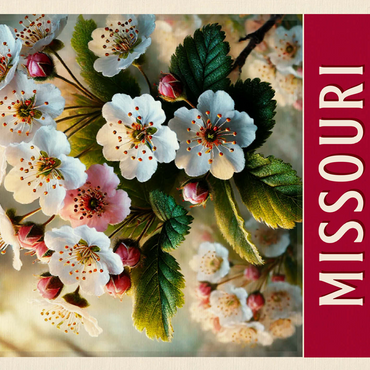 State Flowers Series: Missouri, Hawthorn Blossom 500 Jigsaw Puzzle 3D Modell