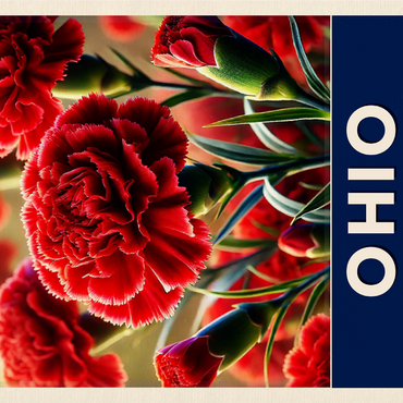 State Flowers Series: Ohio, Scarlet Carnation 1000 Jigsaw Puzzle 3D Modell