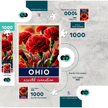 State Flowers Series: Ohio, Scarlet Carnation 1000 Jigsaw Puzzle box 3D Modell