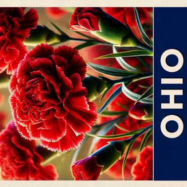 State Flowers Series: Ohio, Scarlet Carnation 500 Jigsaw Puzzle 3D Modell