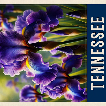 State Flowers Series: Tennessee, Iris 1000 Jigsaw Puzzle 3D Modell
