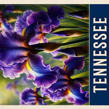 State Flowers Series: Tennessee, Iris 500 Jigsaw Puzzle 3D Modell