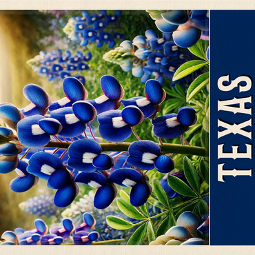 State Flowers Series: Texas, Bluebonnet 1000 Jigsaw Puzzle 3D Modell