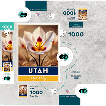 State Flowers Series: Utah, Sego Lily 1000 Jigsaw Puzzle box 3D Modell