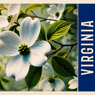 State Flowers Series: Virginia, American Dogwood 1000 Jigsaw Puzzle 3D Modell