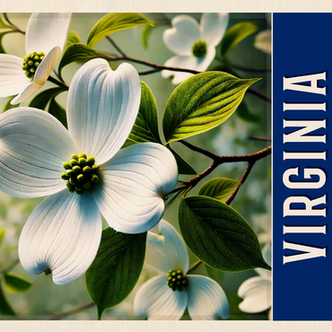 State Flowers Series: Virginia, American Dogwood 500 Jigsaw Puzzle 3D Modell