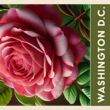 State Flowers Series: Washington D.C, American Beauty Rose 1000 Jigsaw Puzzle 3D Modell