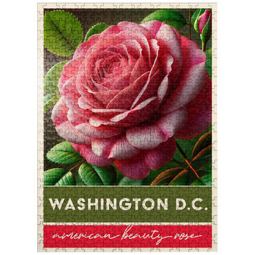 puzzleplate State Flowers Series: Washington D.C, American Beauty Rose 500 Jigsaw Puzzle