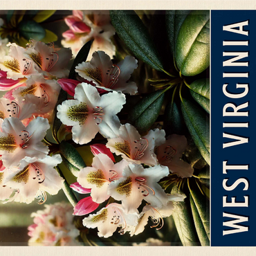 State Flowers Series: West Virginia, Rhododendron 1000 Jigsaw Puzzle 3D Modell