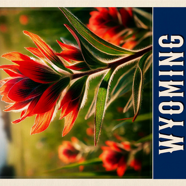 State Flowers Series: Wyoming, Indian Paintbrush 1000 Jigsaw Puzzle 3D Modell