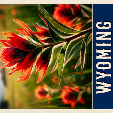 State Flowers Series: Wyoming, Indian Paintbrush 500 Jigsaw Puzzle 3D Modell