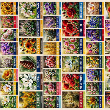 State Flowers Series: 50 State Flowers Collage, vol. 3 1000 Jigsaw Puzzle 3D Modell