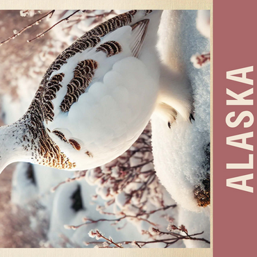 State Birds Series: Alaska, Willow Ptarmigan 500 Jigsaw Puzzle 3D Modell