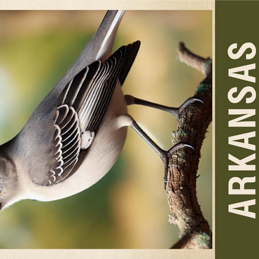 State Birds Series: Arkansas, Northern Mockingbird 1000 Jigsaw Puzzle 3D Modell