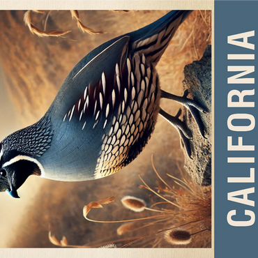 State Birds Series: California, California Quail 1000 Jigsaw Puzzle 3D Modell