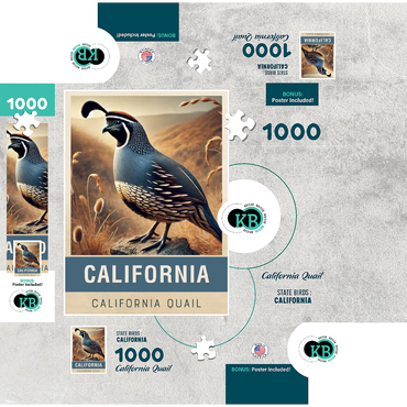 State Birds Series: California, California Quail 1000 Jigsaw Puzzle box 3D Modell