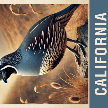 State Birds Series: California, California Quail 500 Jigsaw Puzzle 3D Modell