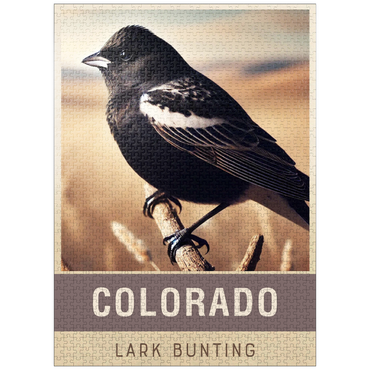 puzzleplate State Birds Series: Colorado, Lark Bunting 1000 Jigsaw Puzzle