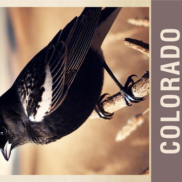 State Birds Series: Colorado, Lark Bunting 1000 Jigsaw Puzzle 3D Modell