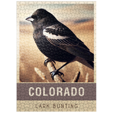 puzzleplate State Birds Series: Colorado, Lark Bunting 500 Jigsaw Puzzle