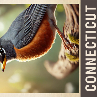 State Birds Series: Connecticut, American Robin 1000 Jigsaw Puzzle 3D Modell
