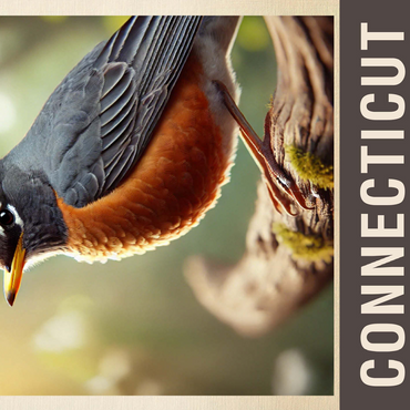 State Birds Series: Connecticut, American Robin 500 Jigsaw Puzzle 3D Modell