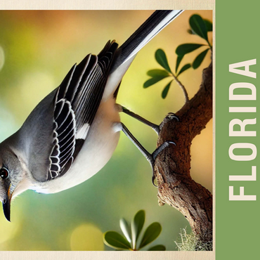 State Birds Series: Florida, Northern Mockingbird 500 Jigsaw Puzzle 3D Modell