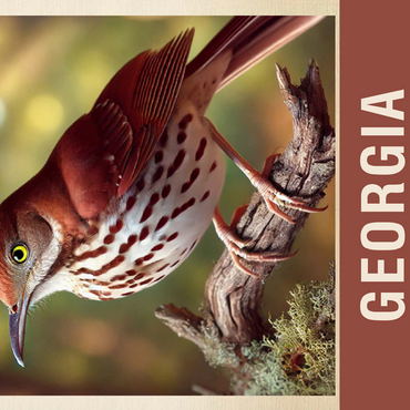 State Birds Series: Georgia, Brown Thrasher 500 Jigsaw Puzzle 3D Modell